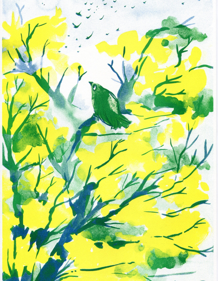 Riso print "Song bird" A4