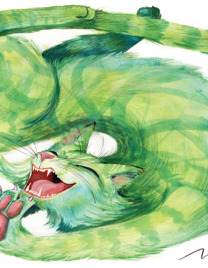 Poster Fred the green cat, A2