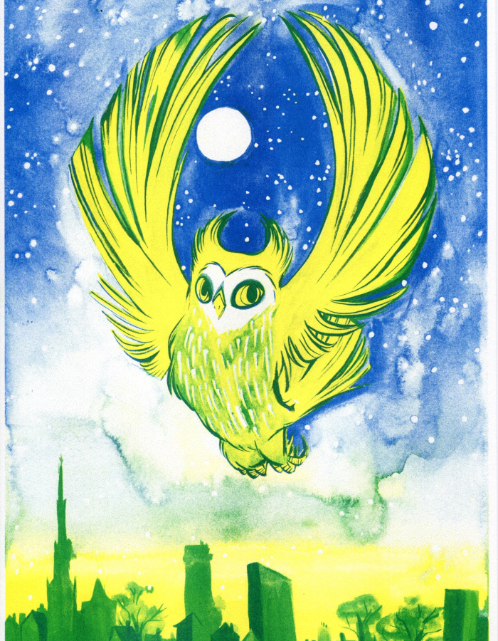 Riso print "Owl city" A4