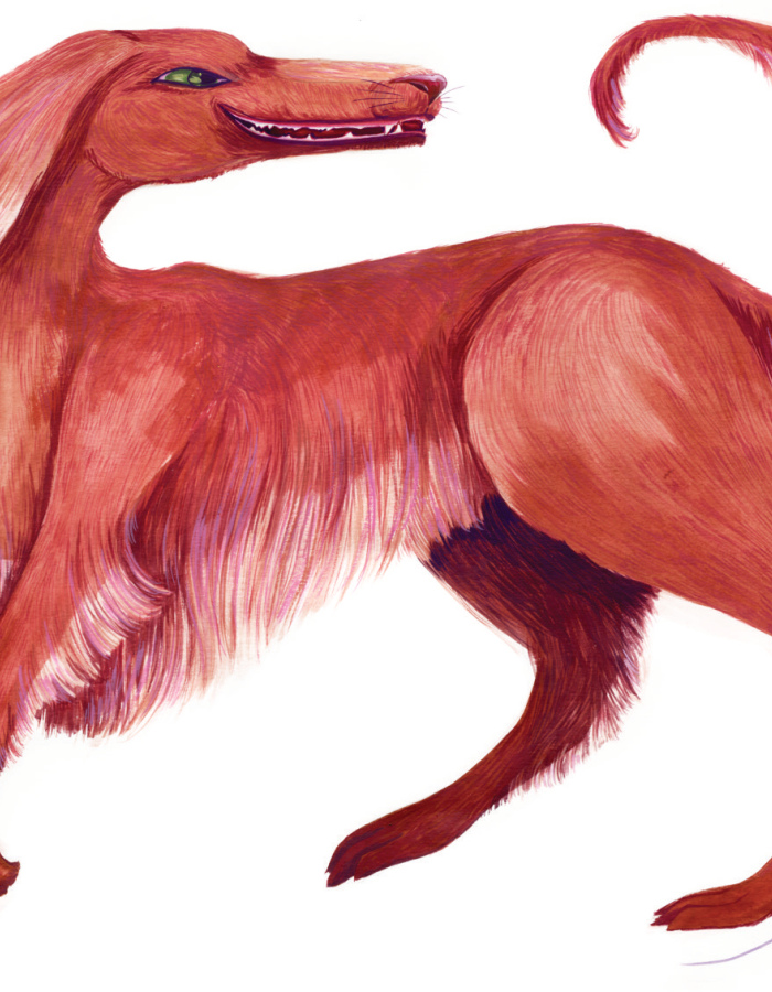 Poster Fiona the pink dog, A2